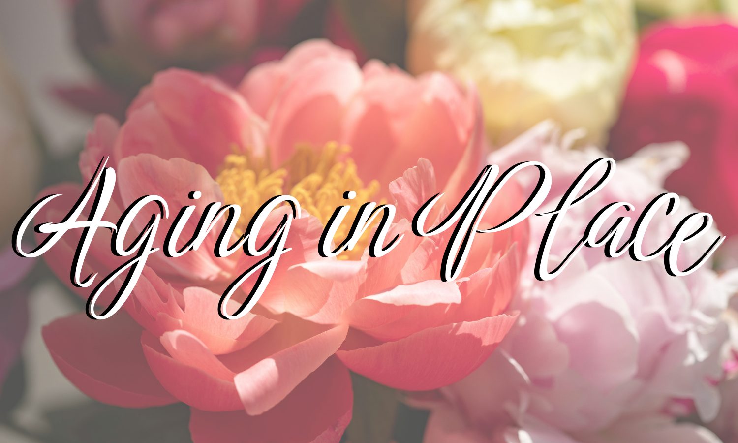 Aging in Place2