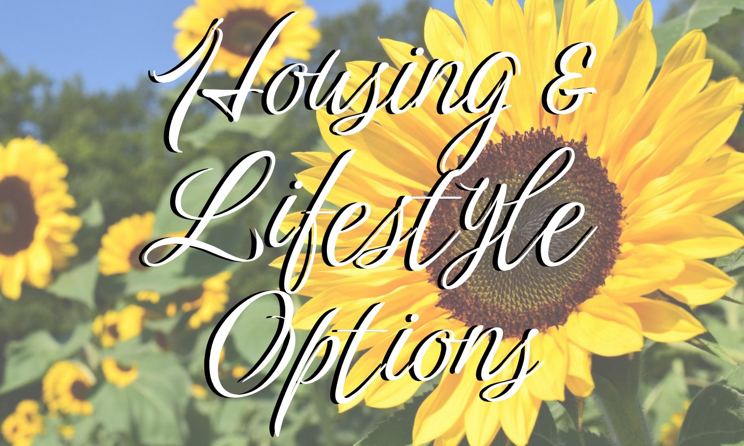 Housing & Lifestyle Options
