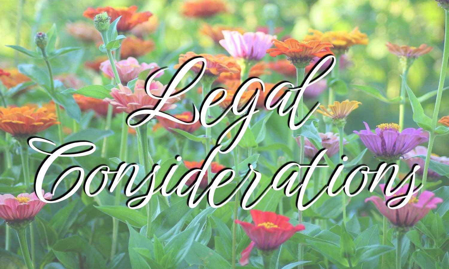 Legal Considerations2