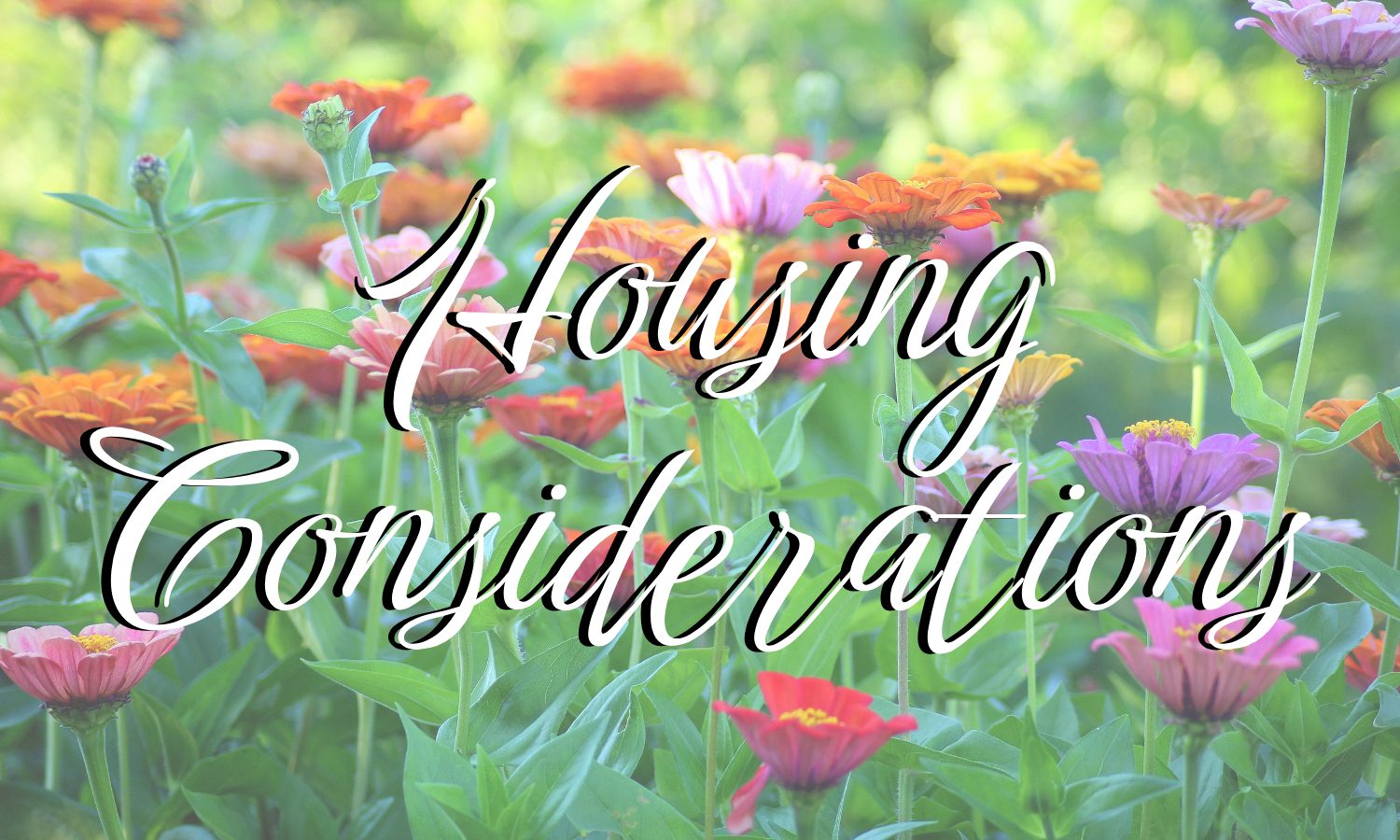 housing cons