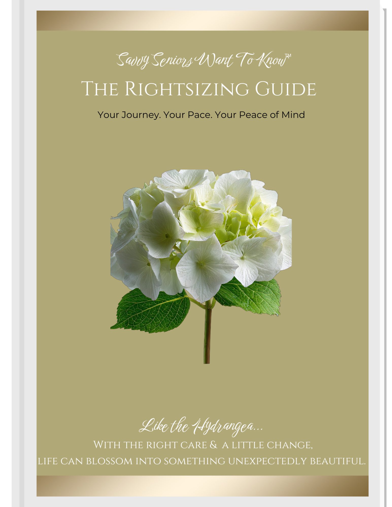 RightsizingGuideCover