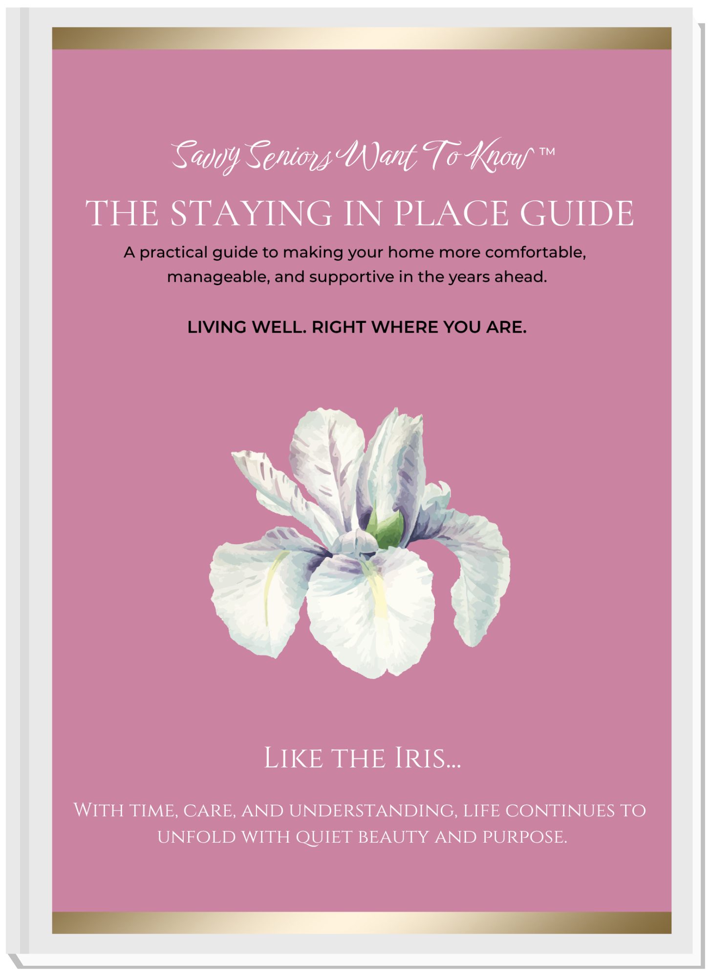 Staying in Place Guide 2